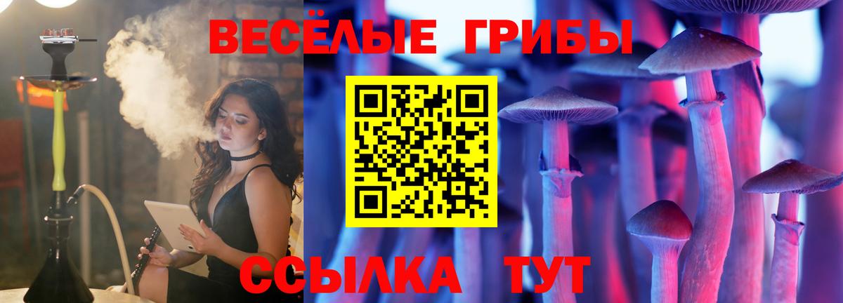Галлюциногенные грибы прущие грибы  Псилоцибиновые грибы Magic Shrooms  Лыткарино  Вход с VPN 