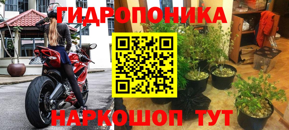 Бошки Шишки сатива  Бошки марихуана конопля  Вход с VPN  Лыткарино  Шишки марихуана OG Kush 